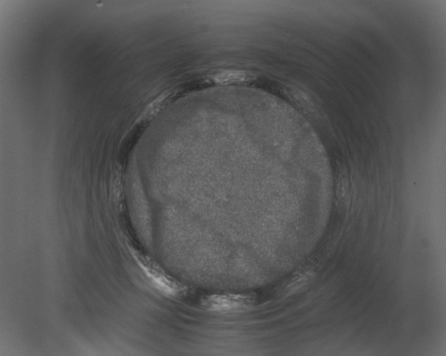 X0000080680367200701121705