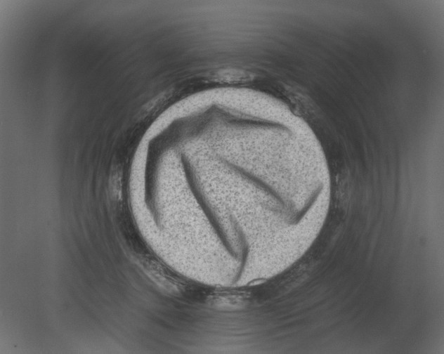 X0000080680368200701121705