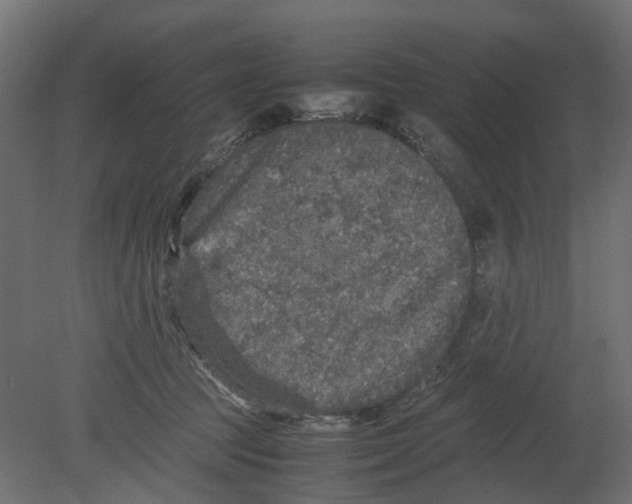 X0000080680369200701121705