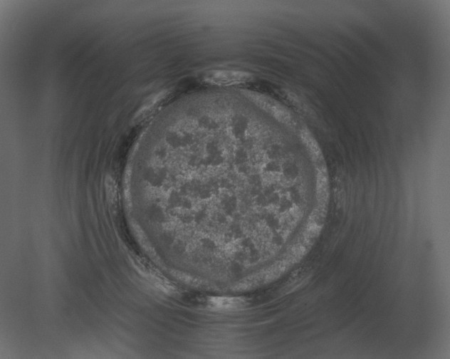 X0000080680371200701121705