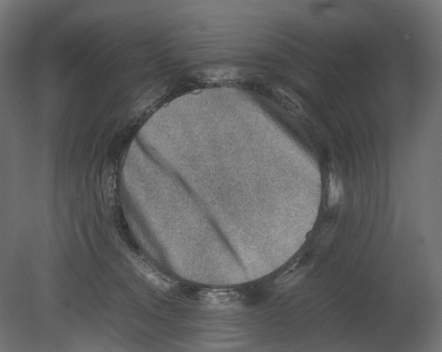 X0000080680372200701121705