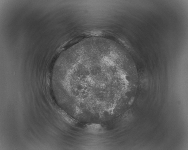 X0000080680374200701121705