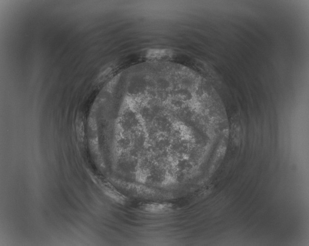 X0000080680375200701121705