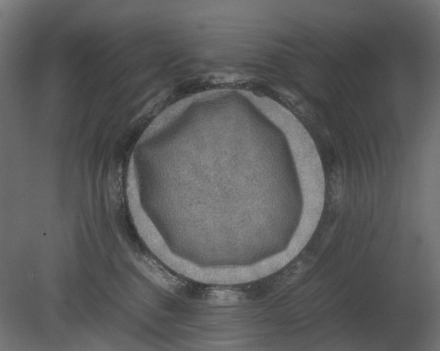 X0000080680376200701121705