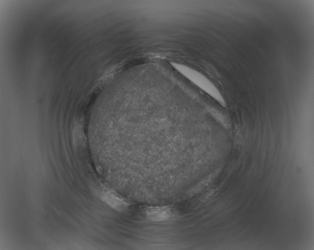 X0000080680377200701121705