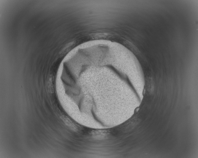 X0000080680378200701121705