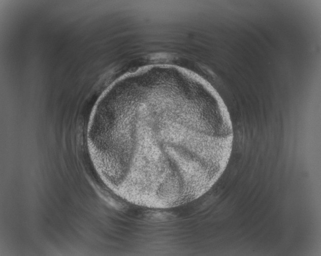 X0000080680379200701121705