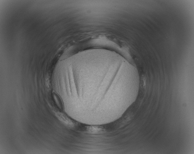 X0000080680380200701121705