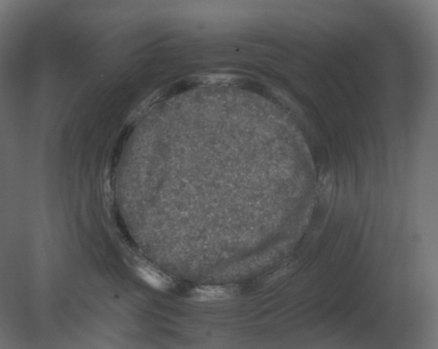 X0000080680381200701121705