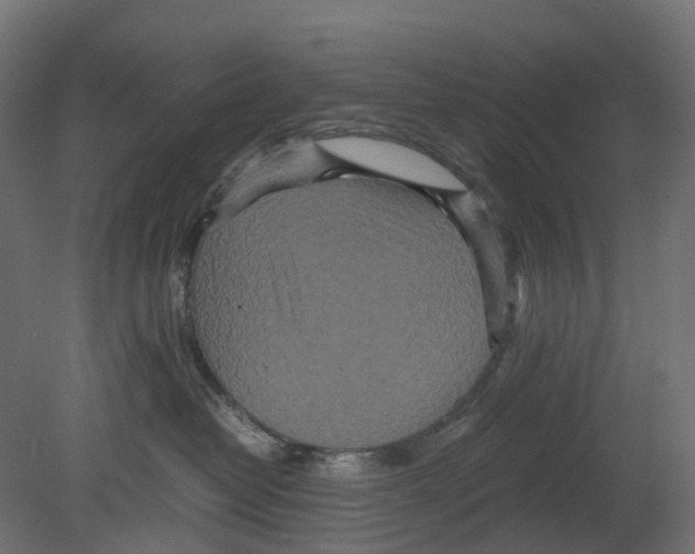 X0000080680382200701121705