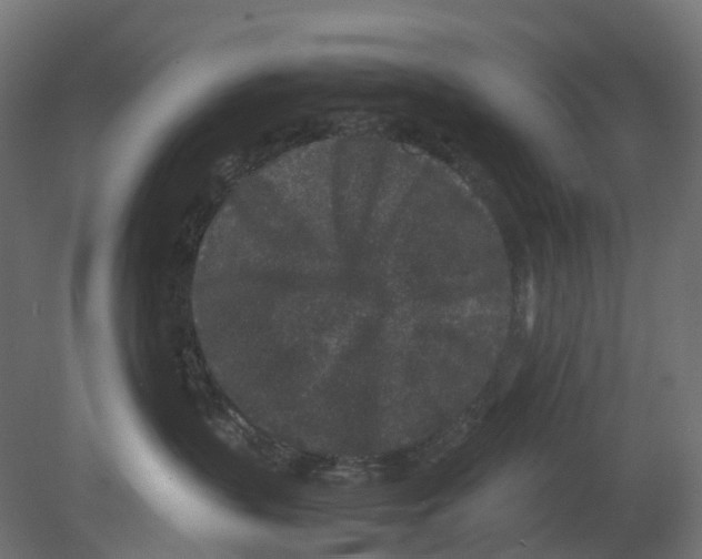 X0000080680383200701121705