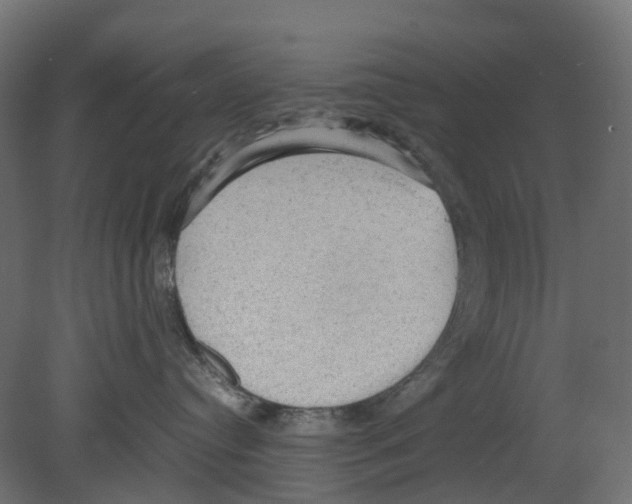 X0000080680384200701121705