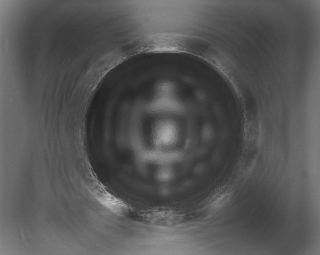 X0000080680385200701121704