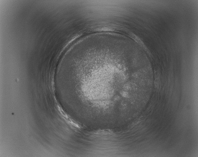 X0000080680386200701121704