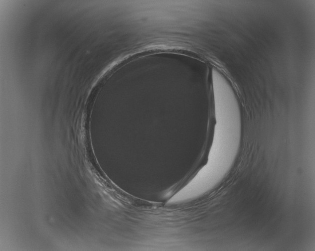 X0000080680387200701121704