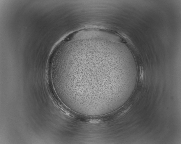 X0000080680388200701121704