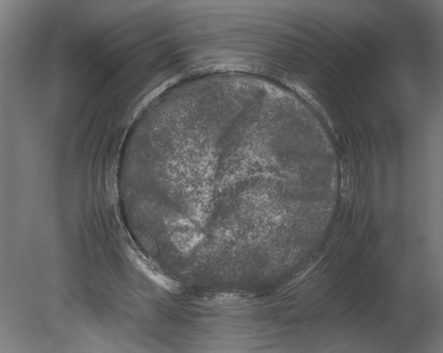 X0000080680390200701121704