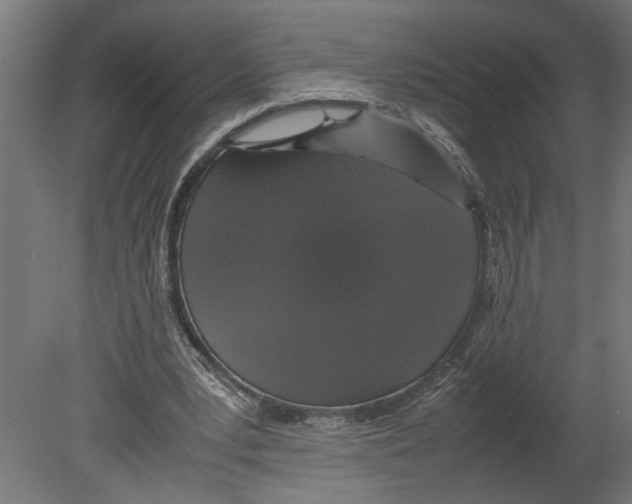 X0000080680391200701121704