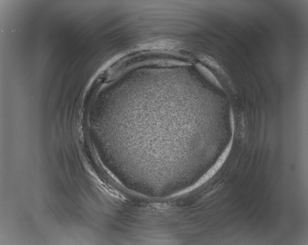 X0000080680392200701121704