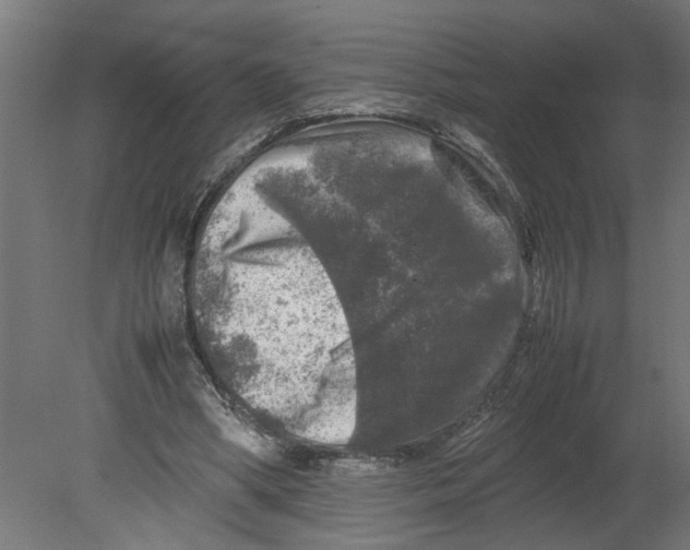 X0000080680394200701121704