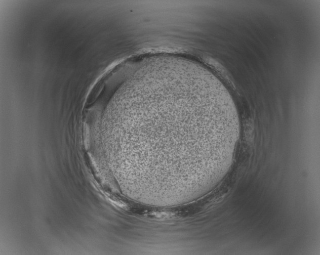 X0000080680395200701121704