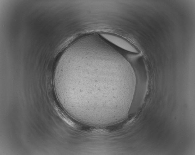 X0000080680397200701121704