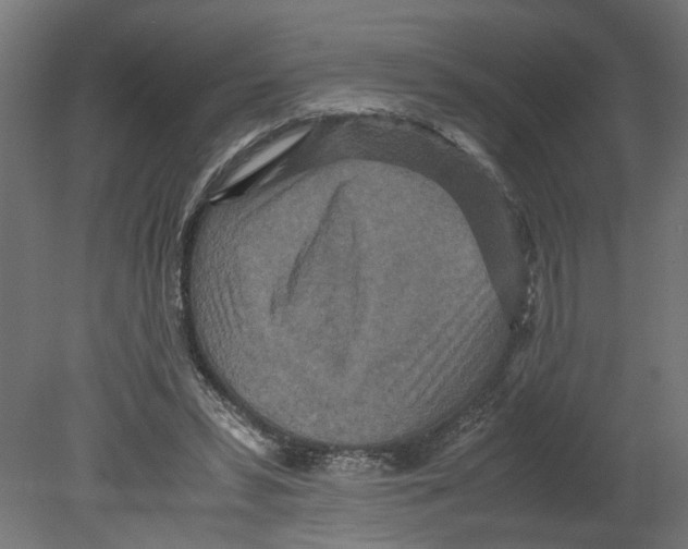 X0000080680399200701121704