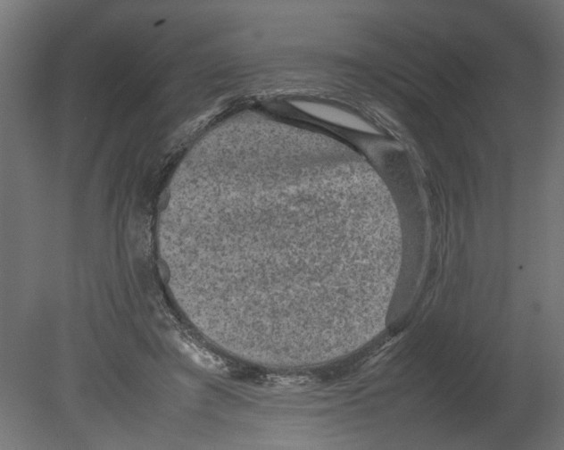 X0000080680401200701121704