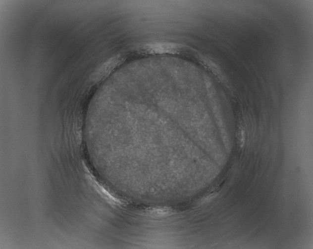 X0000080680402200701121704