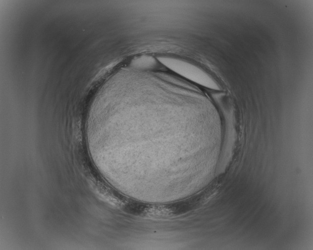 X0000080680403200701121704