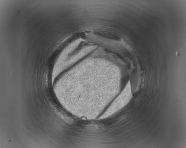 X0000080680404200701121704