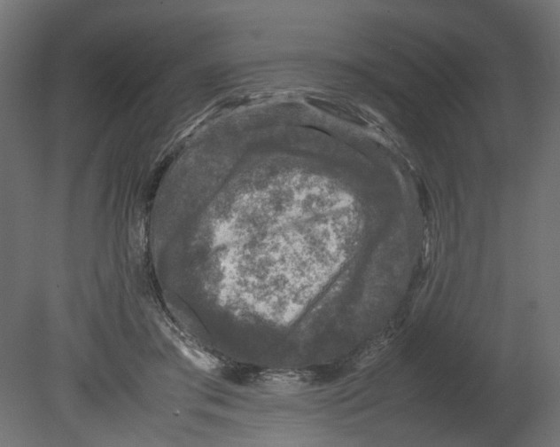 X0000080680405200701121704