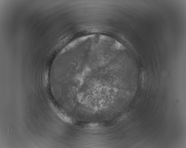 X0000080680406200701121704