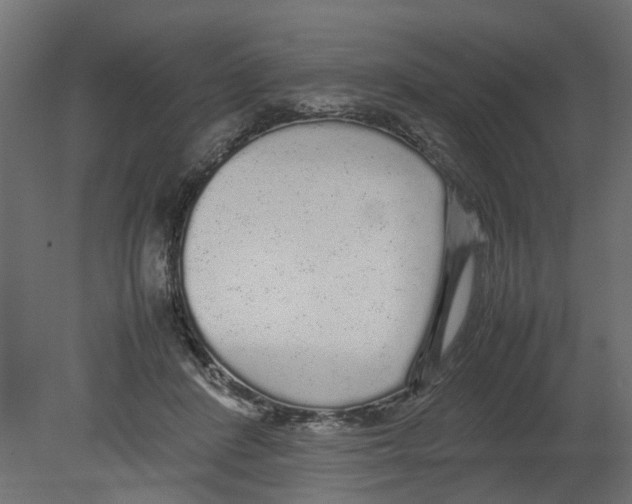 X0000080680408200701121704