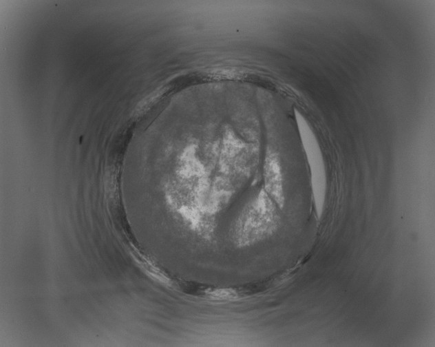 X0000080680409200701121704