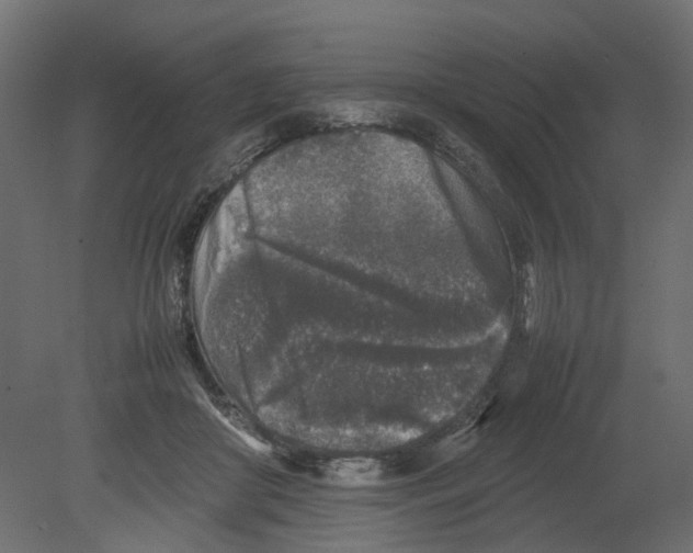 X0000080680410200701121704