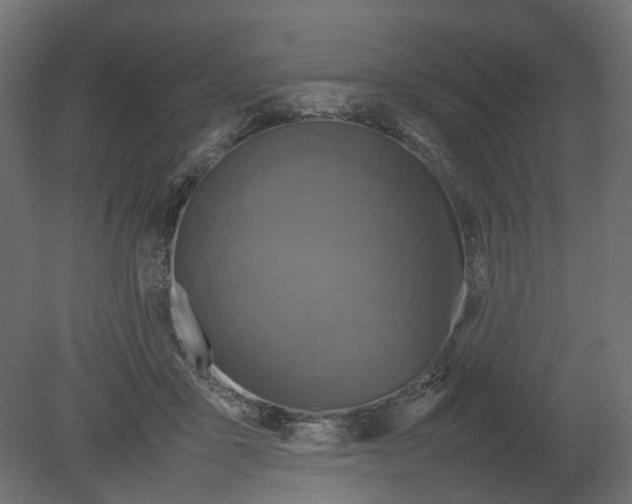 X0000080680411200701121704