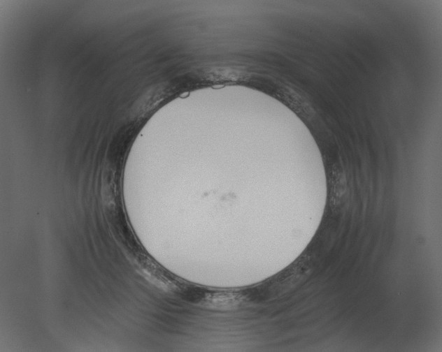 X0000080680414200701121704