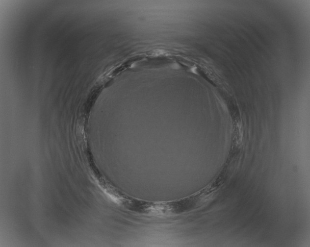 X0000080680415200701121704