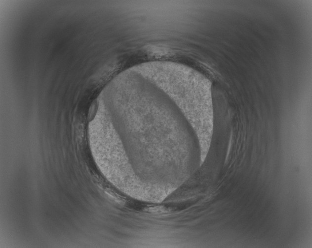 X0000080680417200701121704