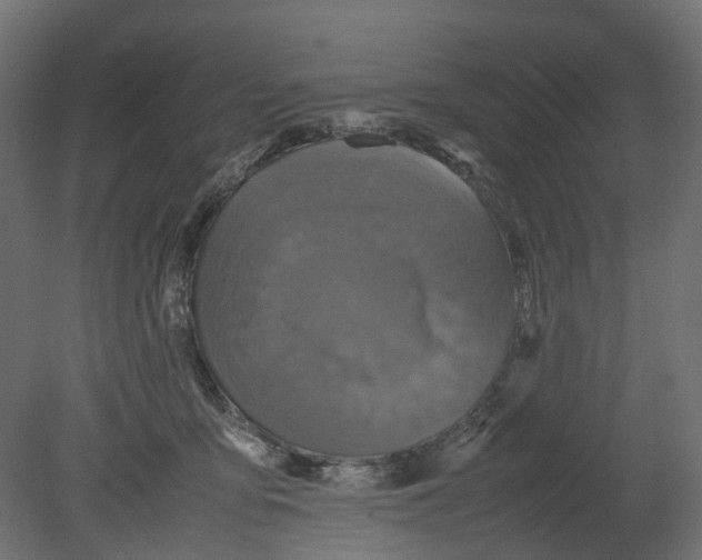 X0000080680419200701121704