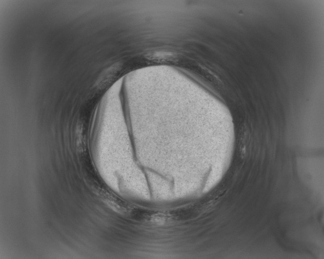 X0000080680420200701121704