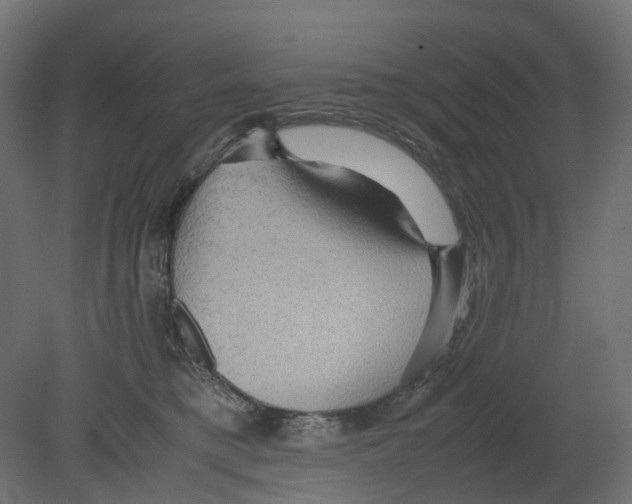 X0000080680421200701121704