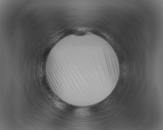 X0000080680422200701121704