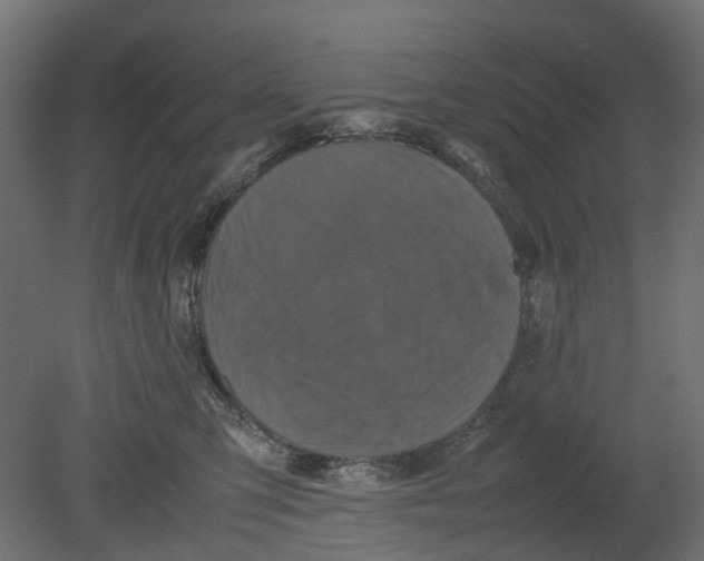 X0000080680423200701121704