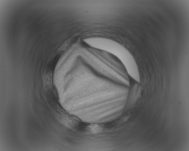 X0000080680425200701121704