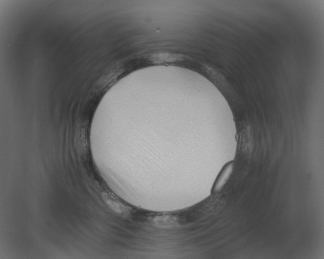 X0000080680426200701121704