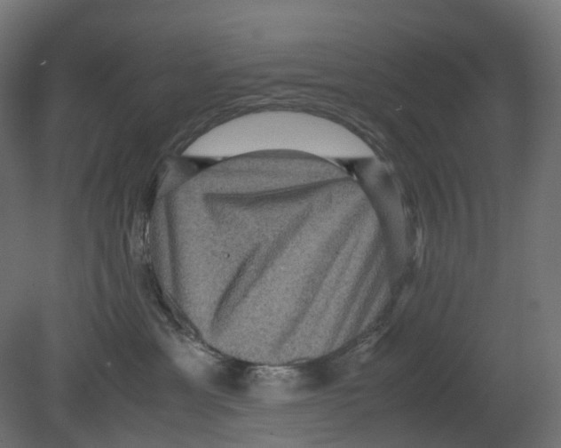 X0000080680429200701121704