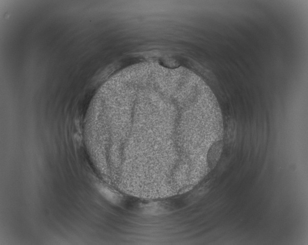 X0000080680430200701121704