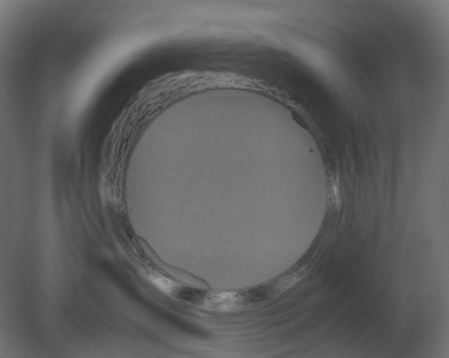 X0000080680431200701121703